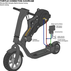 Detailed wiring diagram of an electric scooter throttle connection.