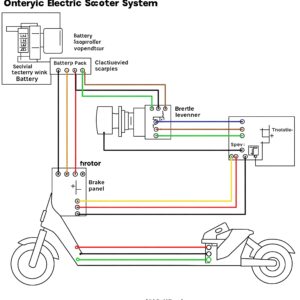 A simplified wiring diagram illustrating the electrical connections within an electric moped scooter parts system.